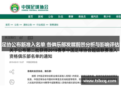 足协公布新准入名单 各俱乐部发展前景分析与影响评估